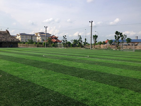 Dự án sân cỏ nhân tạo Trường công nghệ kinh doanh - Đền Đô - Bắc Ninh