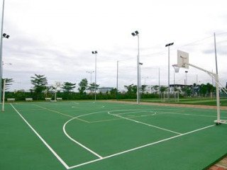 Sân cỏ nhân tạo bóng rổ