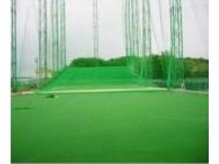 Cỏ nhân tạo sân Golf PTN-X10