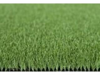 Cỏ nhân tạo sân Golf PTN-X10