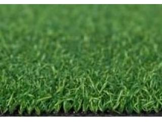 Cỏ nhân tạo sân Golf PTN-X10