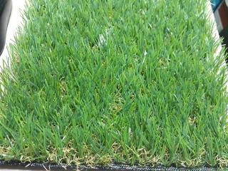 Cỏ nhân tạo sân vườn PTN-U30