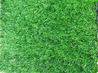 Cỏ nhân tạo PTN-M25