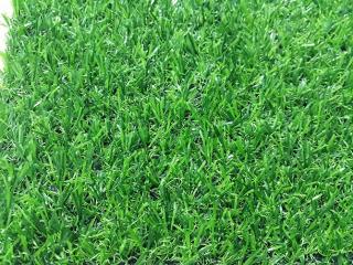 Cỏ nhân tạo sân vườn M20