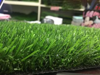 Cỏ nhân tạo sân vườn PTN-LG30