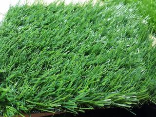 Cỏ nhân tạo sân vườn PTN-LG30