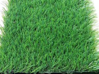 Cỏ nhân tạo sân vườn PTN-LG30