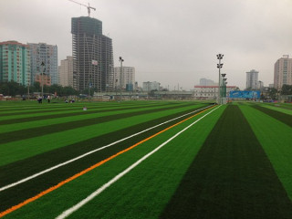 Sân cỏ nhân tạo FPT - Hoàng Minh Giám