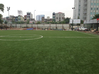 Sân cỏ nhân tạo Sơn Trang 5 - Lê Văn Lương