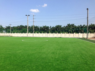 Sân cỏ nhân tạo trường kinh doanh công nghệ