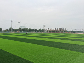 Sân bóng cỏ nhân tạo công ty Hon Đa - Đồng Văn