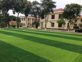 Thi công sân cỏ nhân tạo Đại Phúc - Bắc Ninh