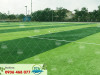 Thi công sân bóng cỏ nhân tạo trường liên cấp quốc tế Bãi Cháy - Quảng Ninh