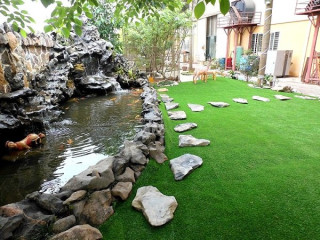 Sân chơi nhà anh Lâm Hà Nội