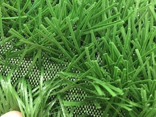 Cỏ nhân tạo PTN-LD8416