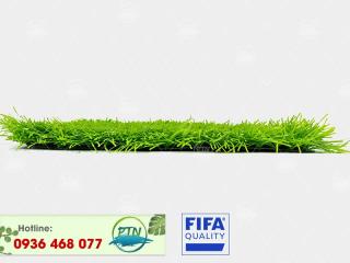 Cỏ nhân tạo PTN-M18