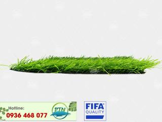 Cỏ nhân tạo PTN-MSX50