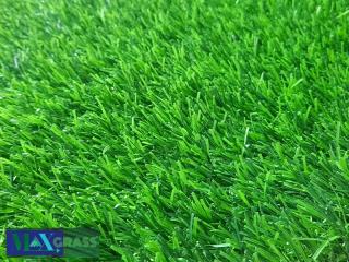 Cỏ nhân tạo PT-MI2019