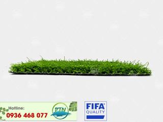 Cỏ nhân tạo PTN-M6 PRO