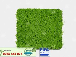 Cỏ nhân tạo PTN-M6 PRO