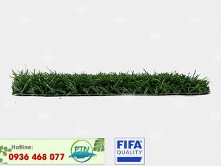 Cỏ nhân tạo PTN-M6 PRO