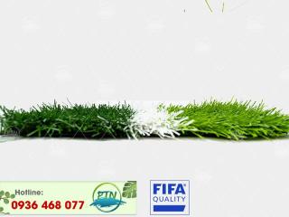 Cỏ nhân tạo PTN-M8