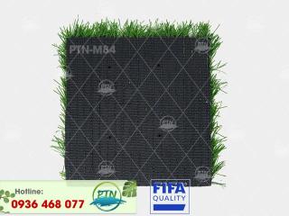 Cỏ nhân tạo PTN-M84