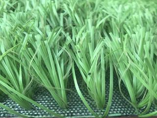 Cỏ nhân tạo PTN-M17
