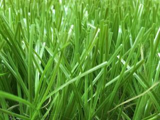 Cỏ nhân tạo PTN-M17
