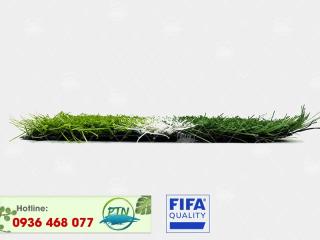 Cỏ nhân tạo PTN-M58 PRO