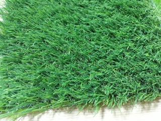 Cỏ nhân tạo sân vườn PTN-LG20