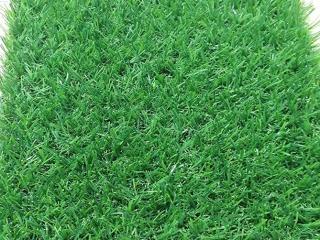 Cỏ nhân tạo sân vườn PTN-LG20
