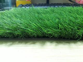 Cỏ nhân tạo sân vườn PTN-LG40