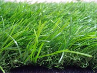 Cỏ nhân tạo sân vườn PTN-LG40
