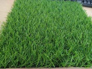 Cỏ nhân tạo PTN-LU3012