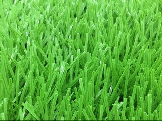 Thảm cỏ nhân tạo PTN-LD8416