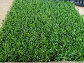 Thảm cỏ nhân tạo PTN-LU3012