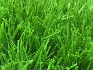 Thảm cỏ nhân tạo PTN-M84