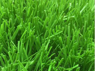 Thảm cỏ nhân tạo PTN-M84
