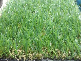 Thảm cỏ nhân tạo PTN-U30