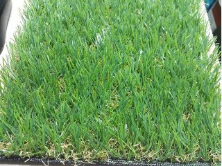 Thảm cỏ nhân tạo PTN-U30