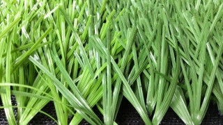 Cỏ nhân tạo chất lượng cao FIFA khuyên dùng