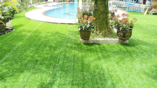 12 tiêu chí chọn cỏ nhân tạo sân vườn chất lượng cao
