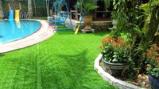 Báo giá cỏ nhân tạo sân vườn