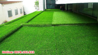 Cung cấp cỏ nhân tạo tại Nghệ An