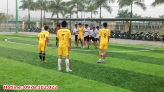Cung cấp cỏ nhân tạo tại Yên Bái