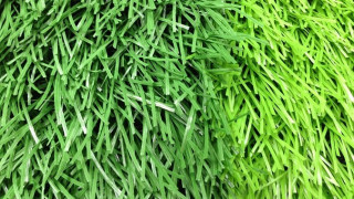 Lợi ích của cỏ nhân tạo