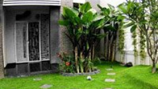 Tại sao bạn nên đầu tư cỏ nhân tạo cho sân vườn