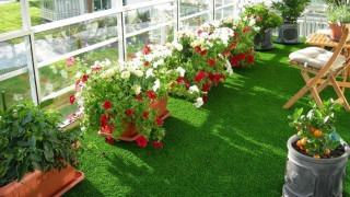 Cung cấp cỏ nhân tạo chất lượng uy tín