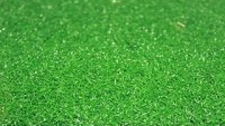 Bán cỏ nhân tạo tại các tỉnh Tây Nguyên